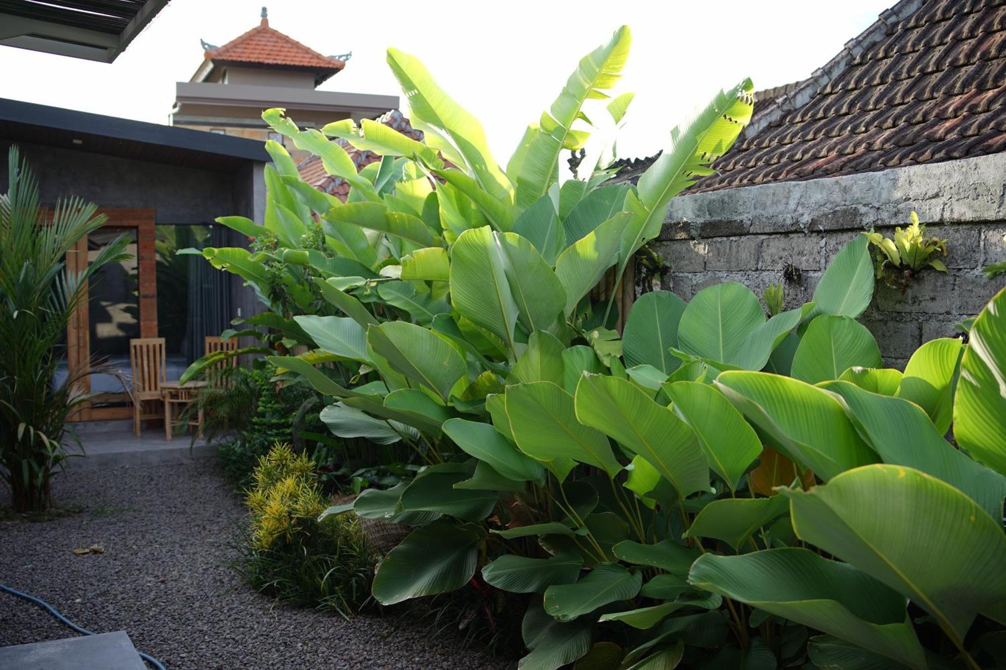 Dedeane Ubud Bagian luar foto